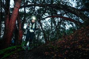 BIB: 
                            <button type="button" onclick="openModal(26342745)" class="btn btn-primary btn-sm float-right btn-popup" data-toggle="modal" data-target=".modal-high-quality">
                        <i class="fas fa-shopping-cart"></i> Add to Cart
                    </button>
                                            <button type="button" onclick="isThisMe(26342745, true)" class="btn btn-success btn-sm float-right btn-popup btn-isme hidden" data-toggle="tooltip" data-placement="bottom" title="นี่คือรูปของคุณใช่ไหม คลิกที่นี่เพื่อเอาเข้าอัลบั้ม">
                        <i class="fas fa-plus"></i> Add to album
                    </button>
                    <button type="button" onclick="isThisMe(26342745, false)" class="btn btn-warning btn-sm float-right btn-popup btn-isnotme hidden">
                        <i class="fas fa-ban"></i> Remove from album
                    </button>